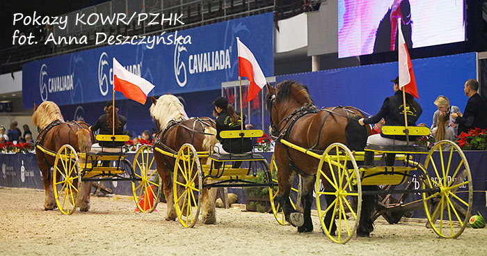 Nowe Jankowice