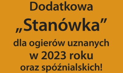 Dodatkowa "Stanówka"