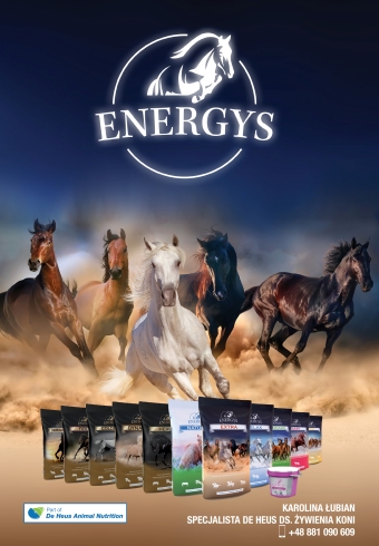 Energys