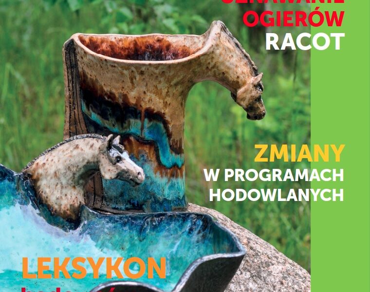 HiJ nr 77 - okładka