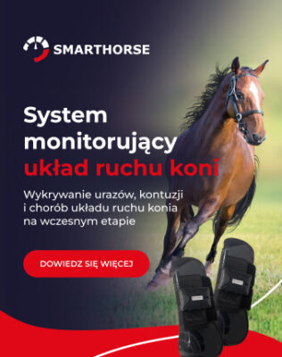 Smarthorse