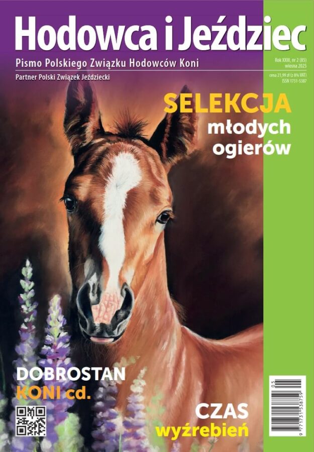 HiJ nr 85 - okładka