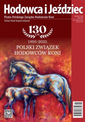 HiJ nr 87 - okładka