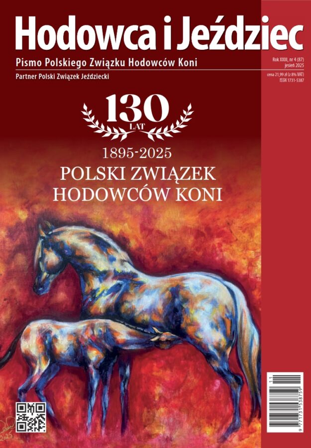 HiJ nr 87 - okładka