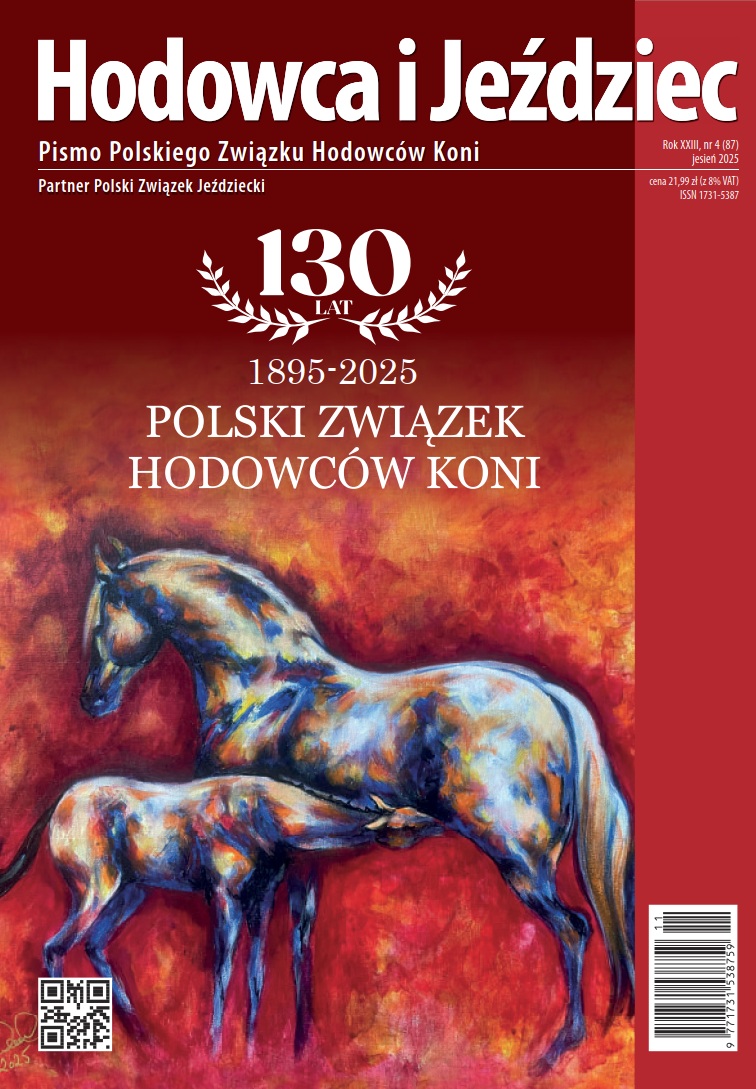 HiJ nr 87 - okładka