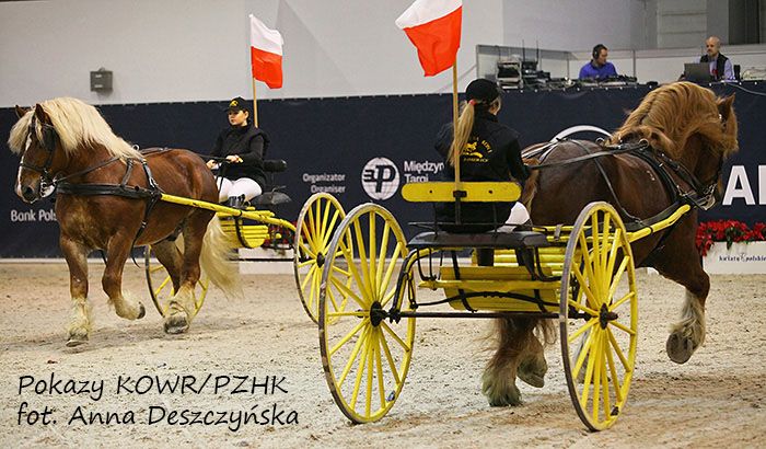 Nowe Jankowice