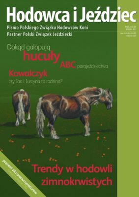 HiJ nr 33 - okładka