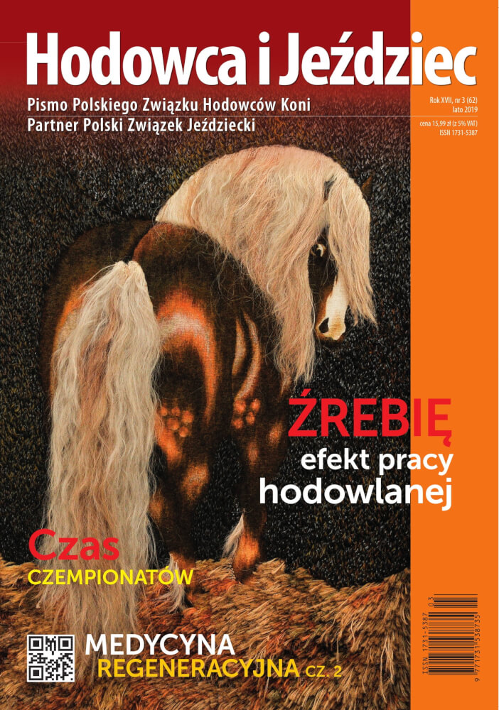 HiJ nr 62 - okładka