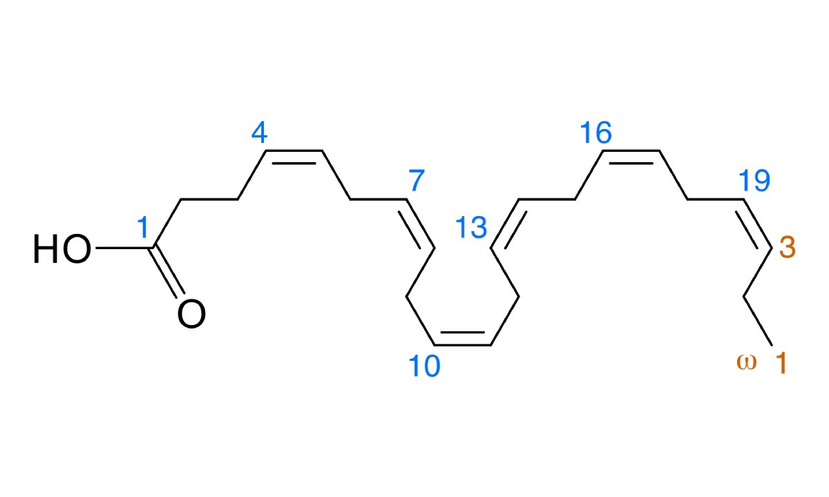 Wzór chemiczny DHA