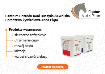 Equine NutriPlan