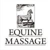 Equine Massage