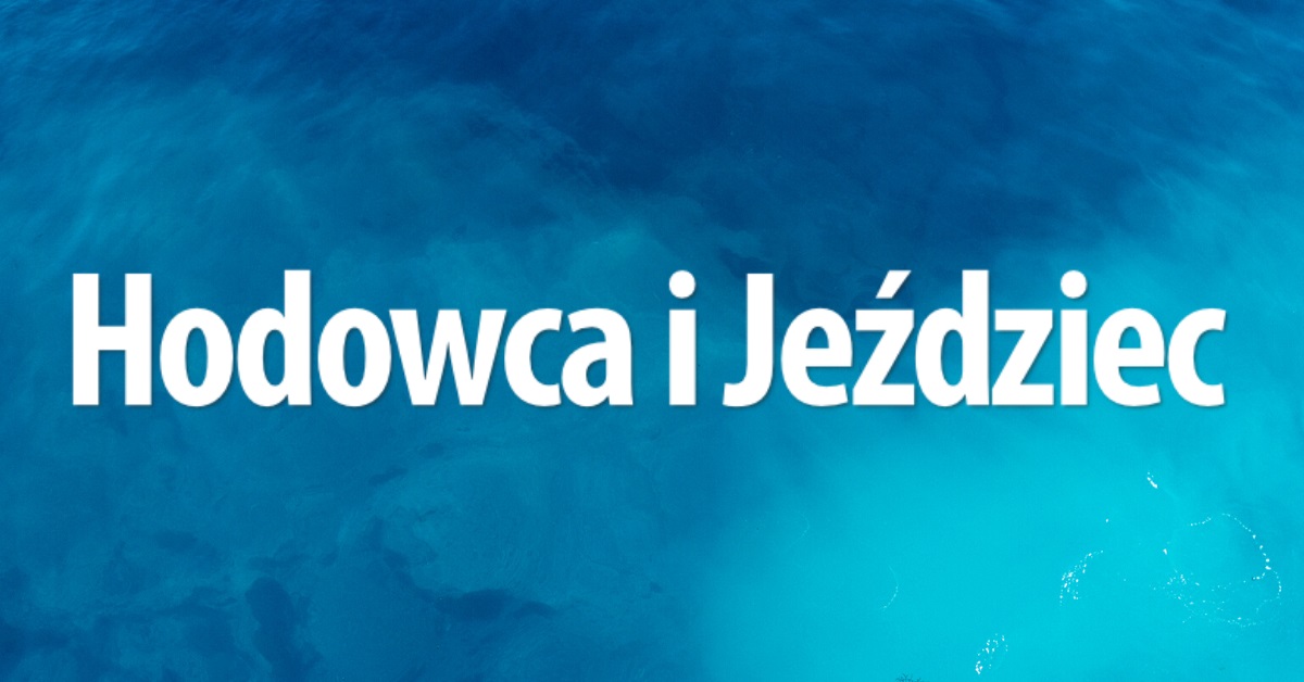kövek a prosztatitis kezelésére