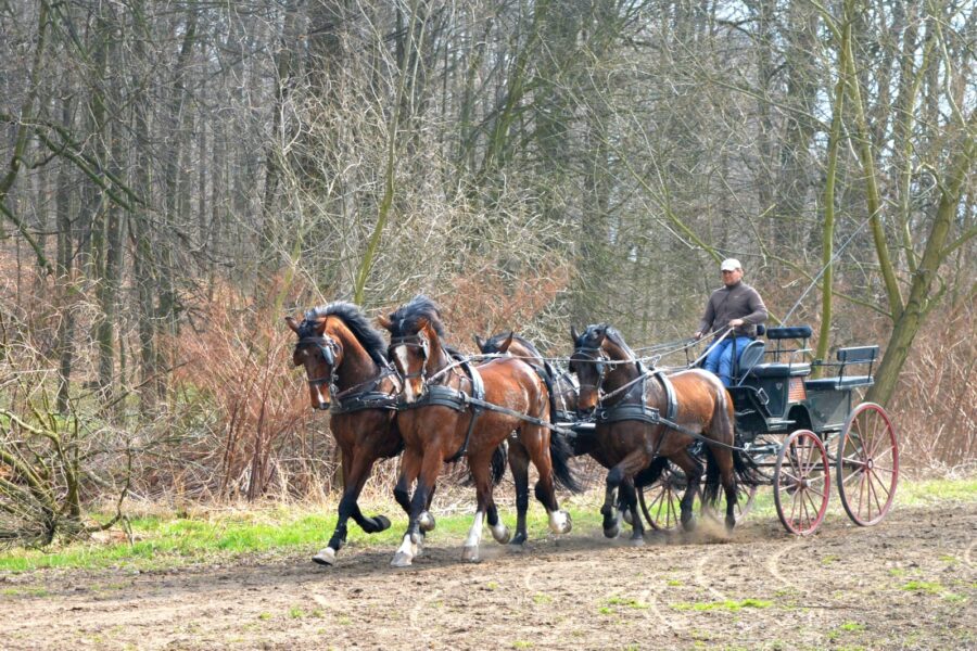 Trening czwórki Piotra Mazurka