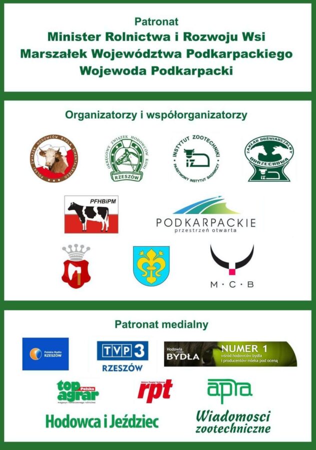 XX Pożegnanie Wakacji w Rudawce Rymanowskiej - Patroni