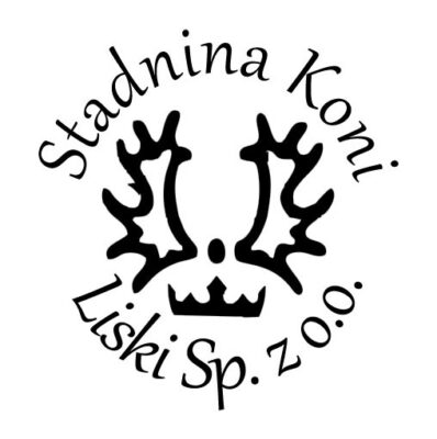 SK Liski