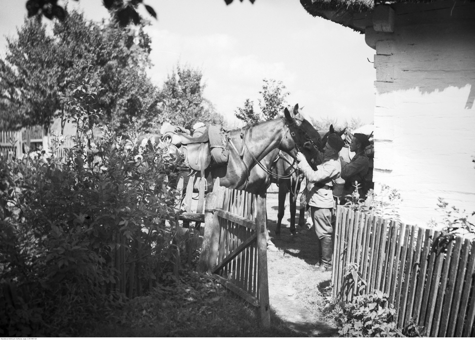 Ułani podczas oporządzania koni przy wiejskiej chacie