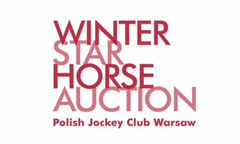 Winter Star Horse Auction